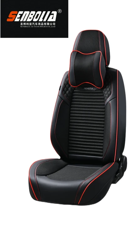 Advanced Car Cushion