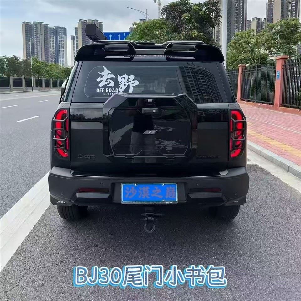 Σακίδιο πλάτης Bj30 Rear Wing